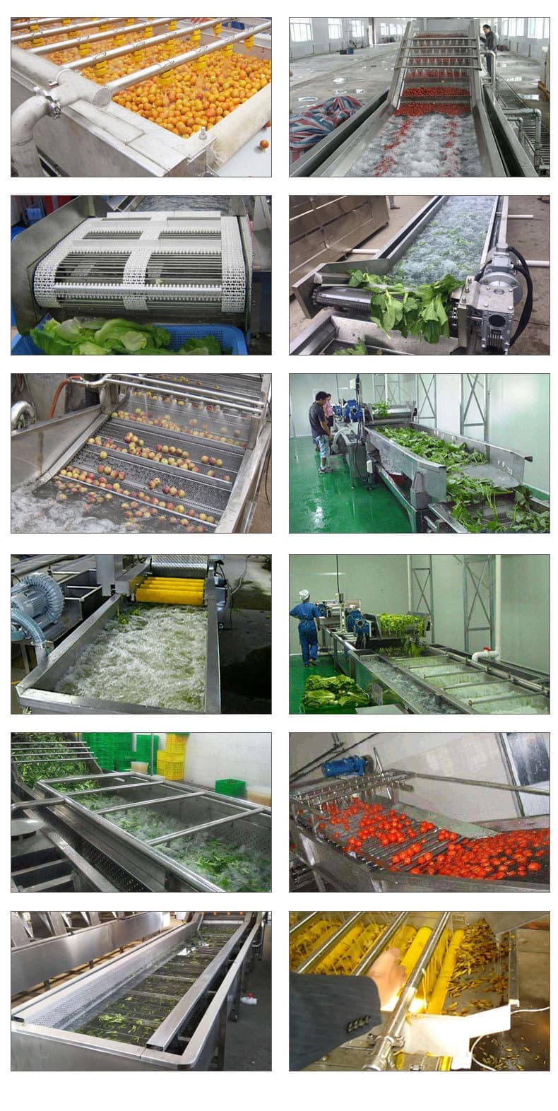 1658755805178954.jpg 6-4.jpg